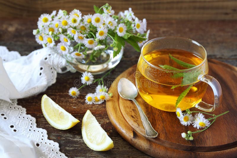 Infusión de hierbas con la menta y la manzanilla foto de archivo libre de regalías Infusión de hierbas con la menta y la manzanilla foto de archivo libre de regalías