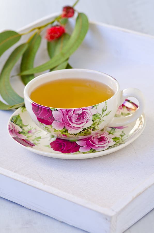 Infusión De Hierbas Del Eucalipto Foto de archivo Imagen de alimento