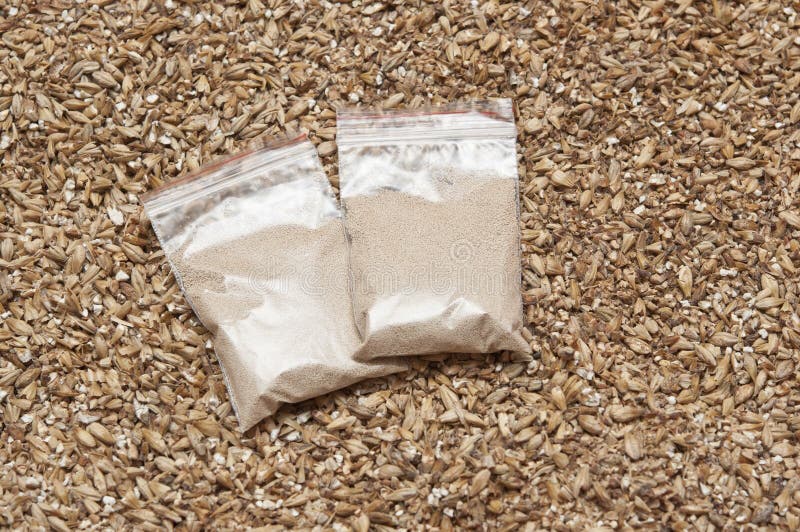 Ingredient for beer. stock photo. Image of rustic, yeast 44672718