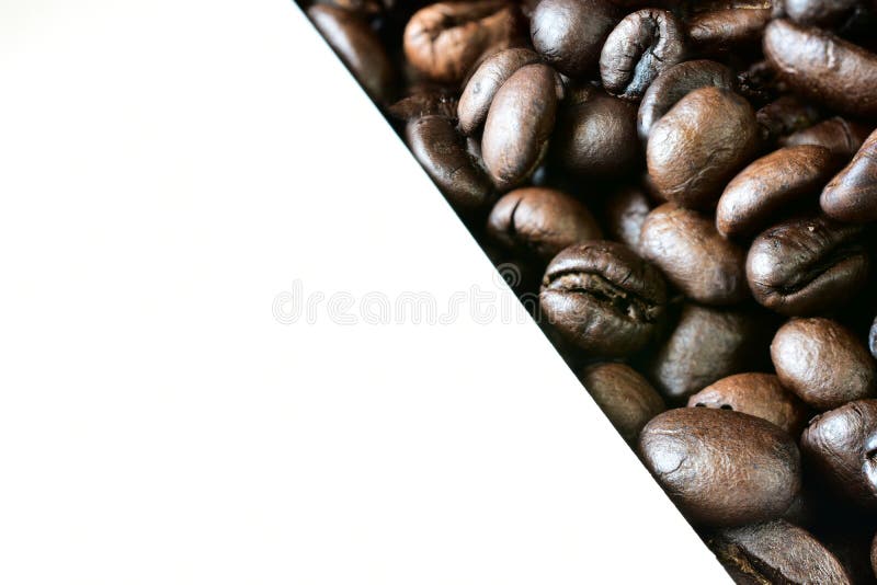 Ingredient of Coffee Making Background Image with Word Space Stock