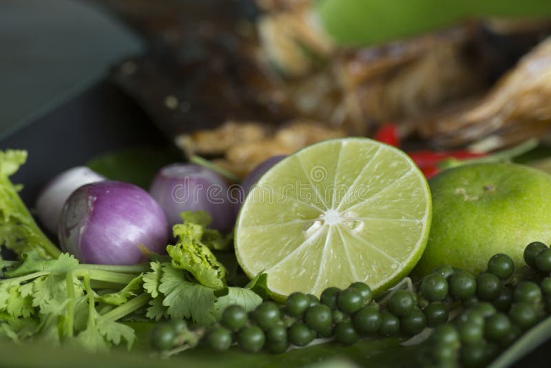 Ingrediente da erva de cuis tailandeses tradicionais do alimento da sopa picante de Tom Yum foto de stock royalty free Ingrediente da erva de cuis tailandeses tradicionais do alimento da sopa picante de Tom Yum foto de stock royalty free