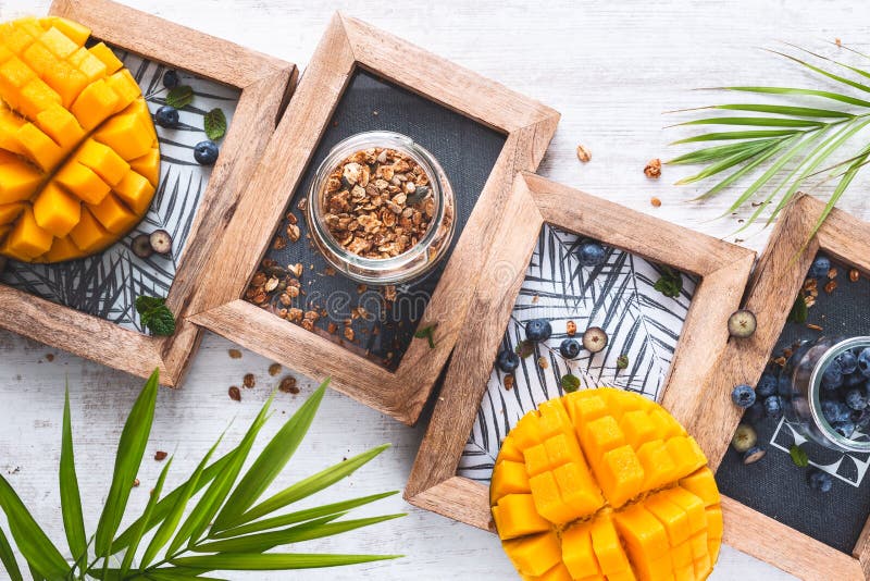 Ingredientes para el Granola libre del gluten con el yogur, los arándanos y el mango del coco fotos de archivo libres de regalías Ingredientes para el Granola libre del gluten con el yogur, los arándanos y el mango del coco fotos de archivo libres de regalías