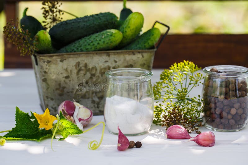 Ingredients for Pickling Cucumbers Stock Photo Image of gherkin