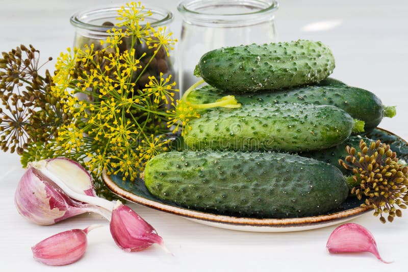 Ingredients for Pickling Cucumbers, Horizontal Stock Photo Image of