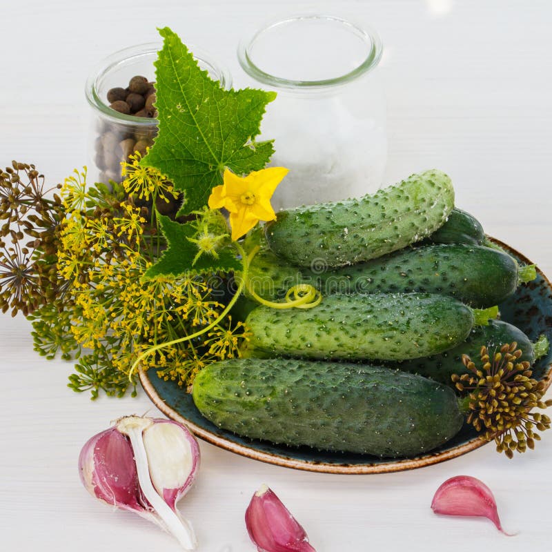 Ingredients for Pickling Cucumbers Stock Image Image of organic