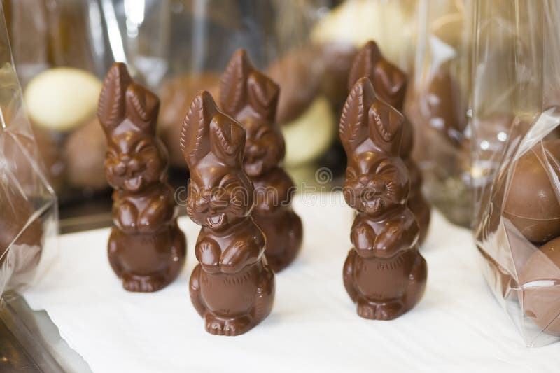 Ingredients for Preparation of Artisanal Chocolate Stock Photo Image
