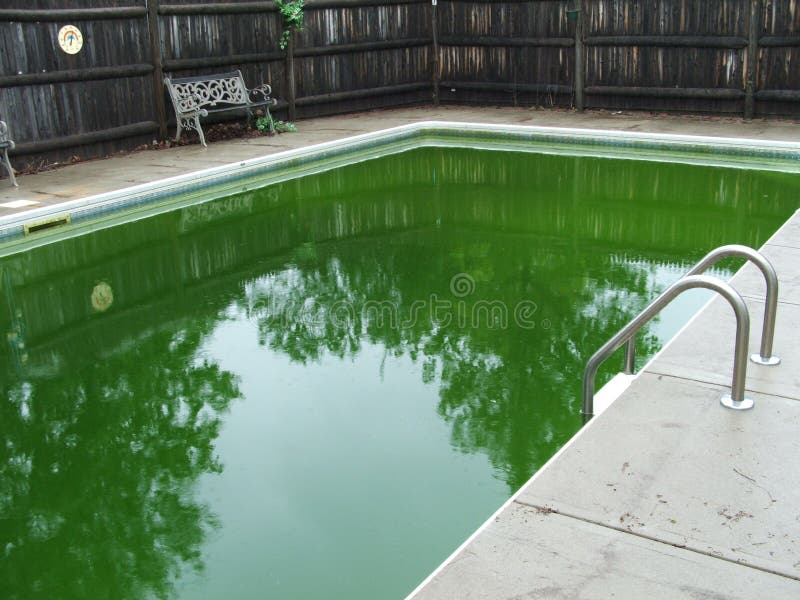 pool has green algae