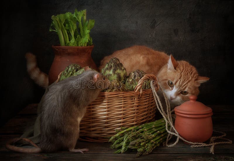 Ingwerkatze macht eine graue Ratte ausfindig, die hinter einem Korb von Artischocken und von Spargel sich versteckt Stilllebenzus stockbild Ingwerkatze macht eine graue Ratte ausfindig, die hinter einem Korb von Artischocken und von Spargel sich versteckt Stilllebenzus stockbild
