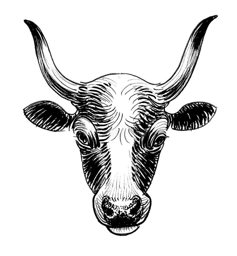 Bull`s head stock illustration. Illustration of clipart 243754183