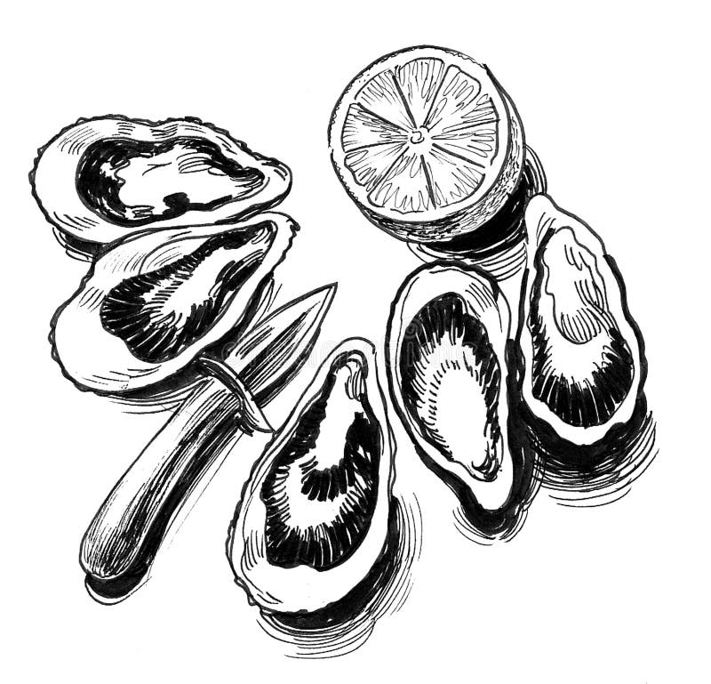 Oyster Clipart Black And White