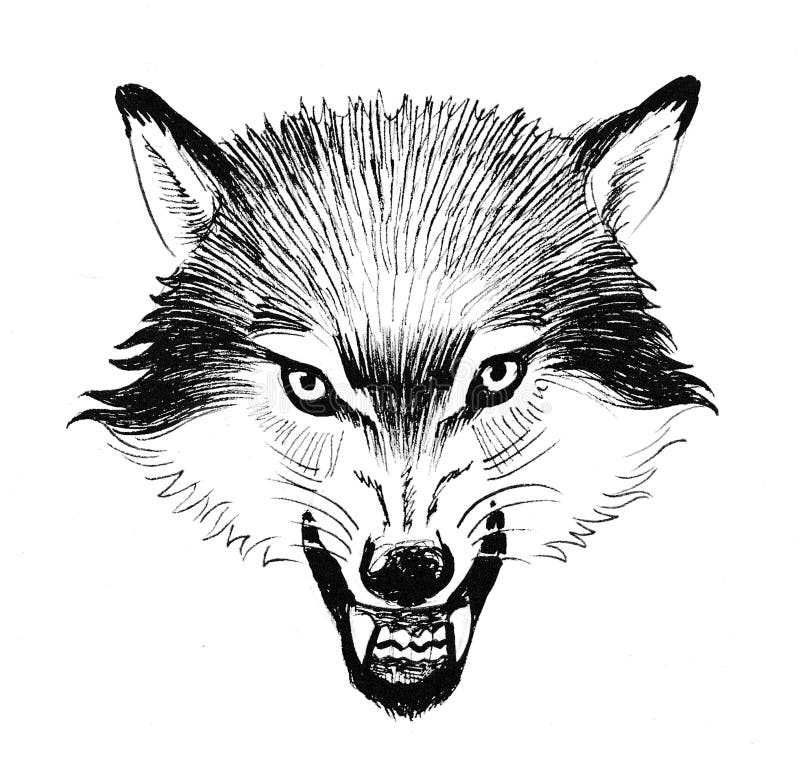 Angry wolfs stock illustration. Illustration of wild - 110590464