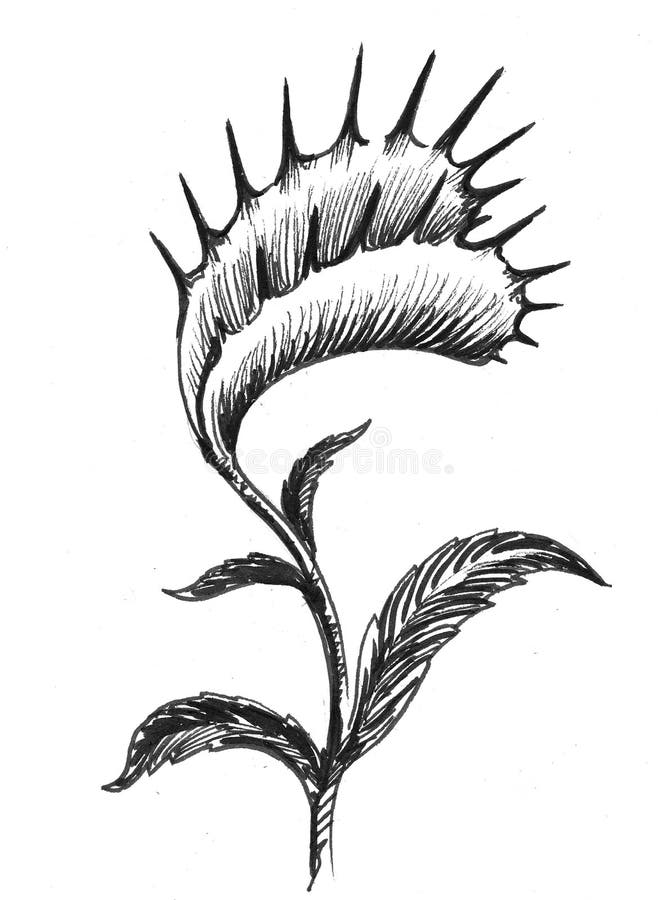 Venus flytrap stock illustration. Illustration of drawing 112244695