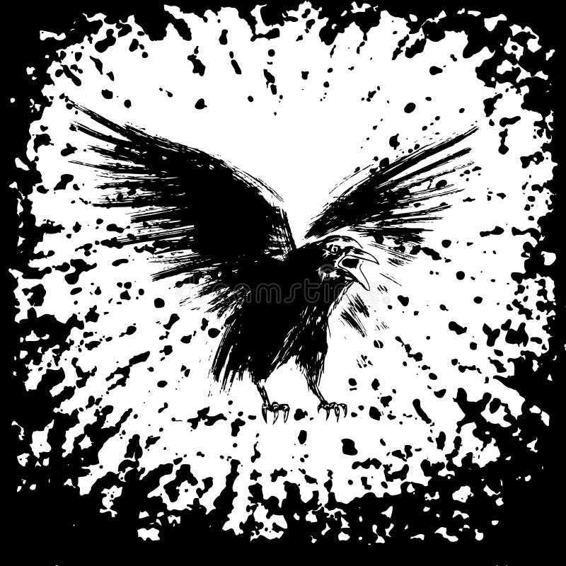 Black crow vector illustration