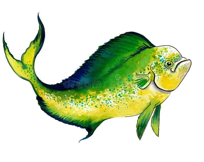 Tropical fish stock illustration. Illustration of fish 264793575