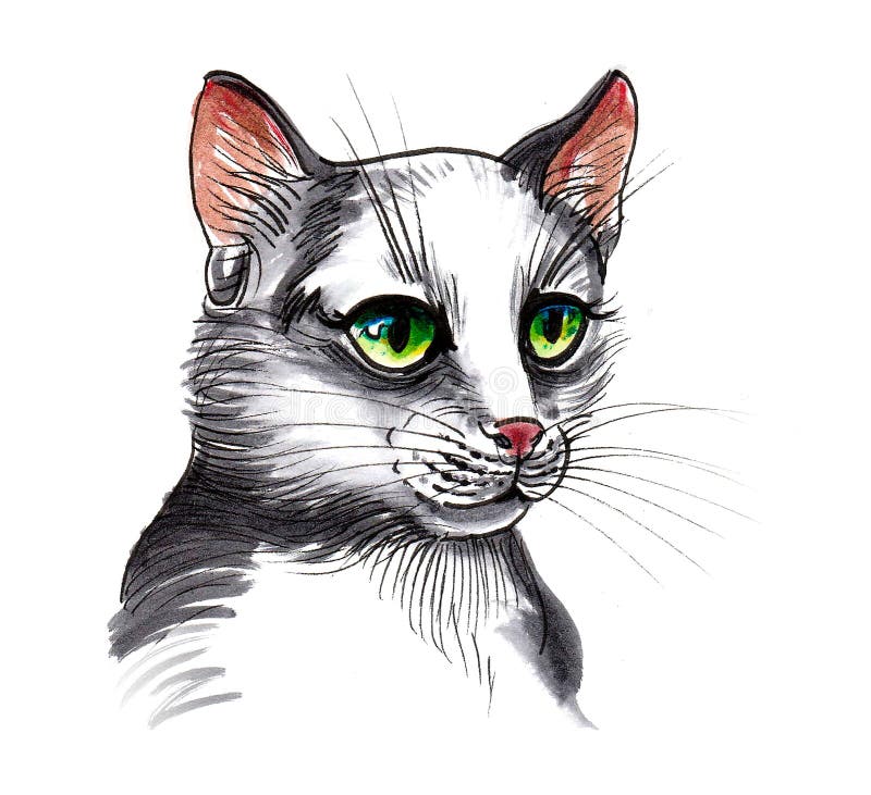 Ink and watercolor drawing of a white cat with green eyes