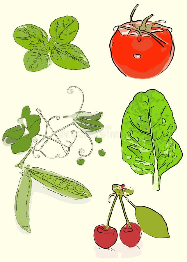 Illustration of fruit and vegetable collection, stylized art. Illustration of fruit and vegetable collection, stylized art