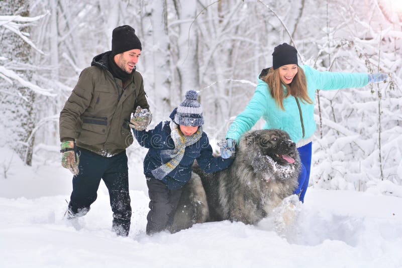 Inkörda fader, moder, son och deras stora hund en snöig skog för vinter royaltyfri bild