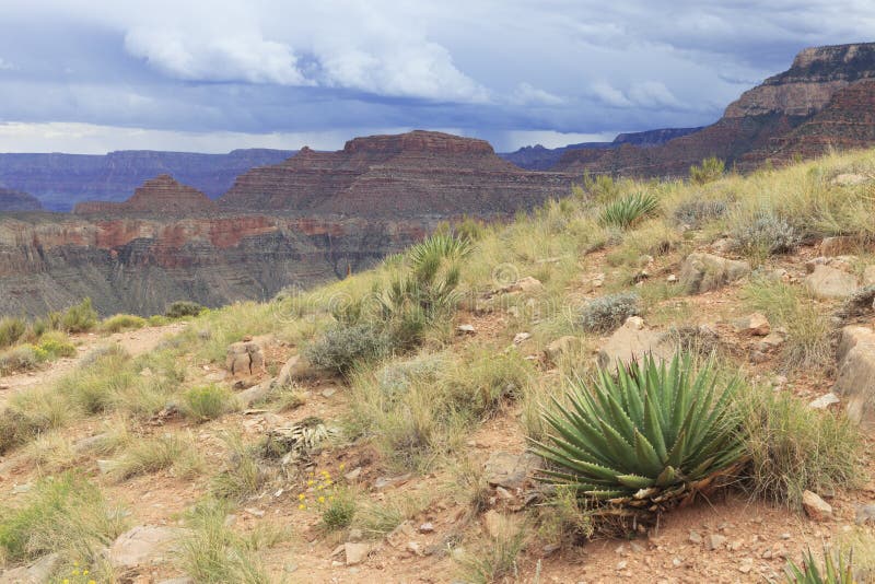 Inner Grand Canyon stock image. Image of clouds, sandstone 26780859