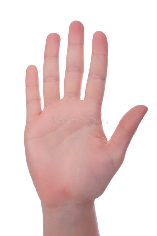 Inner hand stock photo