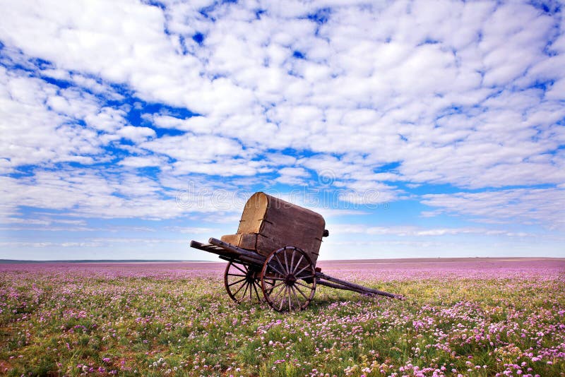 Inner mongolia grassland