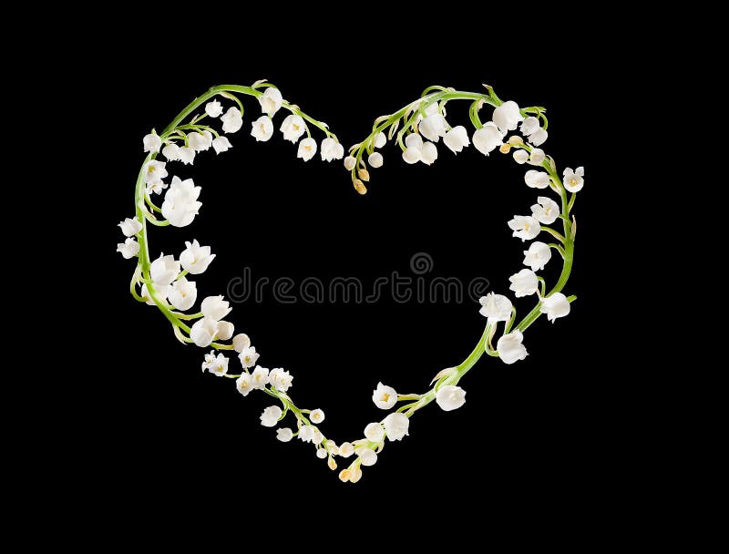 Inneres von lillies Inneres von lillies