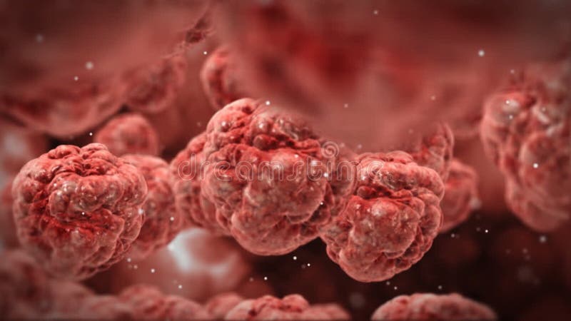 Inom människokroppen lagerför röda blodceller, högt specificerad textur, längd i fot räknat
