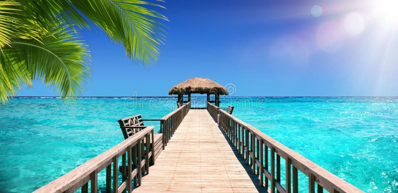 803,588 Tropical Paradise Stock Photos - Free & Royalty-Free Stock Photos from Dreamstime 803,588 Tropical Paradise Stock Photos - Free & Royalty-Free Stock Photos from Dreamstime