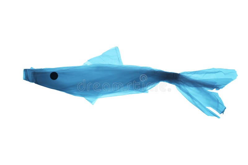 Inquinamento dell'ambiente del pianeta di plastica Sacchetto di plastica blu sotto forma di un pesce nell'oceano del mondo immagini stock Inquinamento dell'ambiente del pianeta di plastica Sacchetto di plastica blu sotto forma di un pesce nell'oceano del mondo immagini stock