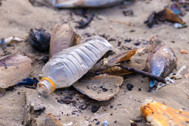 Inquinamento della spiaggia fotografia stock libera da diritti Inquinamento della spiaggia fotografia stock libera da diritti