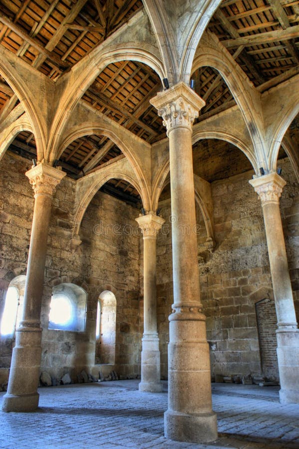Inre kloster av Carracedo på Bierzo arkivbilder Inre kloster av Carracedo på Bierzo arkivbilder