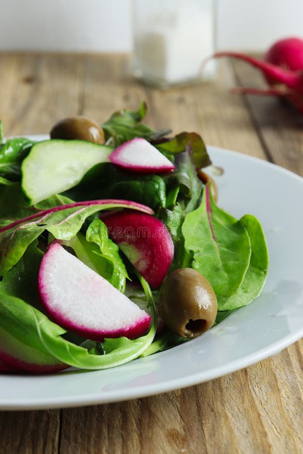 Insalata appena preparato fatta dei verdi, dei ravanelli rossi e delle olive verdi immagini stock libere da diritti Insalata appena preparato fatta dei verdi, dei ravanelli rossi e delle olive verdi immagini stock libere da diritti