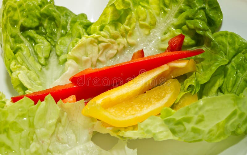 Insalata chiara immagine stock Insalata chiara immagine stock
