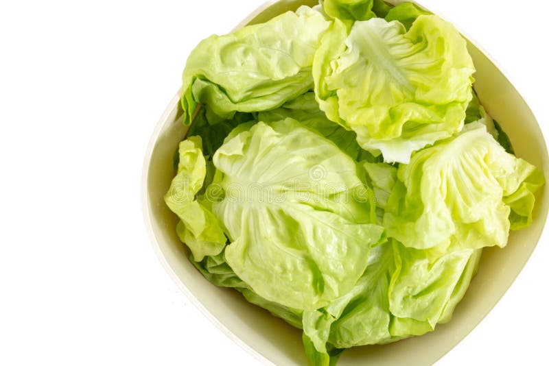 Insalata cruda fresca della lattuga nella ciotola fotografie stock libere da diritti Insalata cruda fresca della lattuga nella ciotola fotografie stock libere da diritti