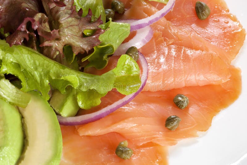 Insalata dell'avocado e dei salmoni affumicati fotografia stock Insalata dell'avocado e dei salmoni affumicati fotografia stock