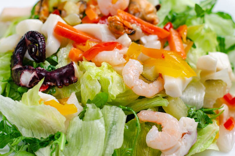 Insalata di alimenti di mare con verdure e lattuga su piastra bianca Alimenti dietetici per la prelibatezza del Mediterraneo