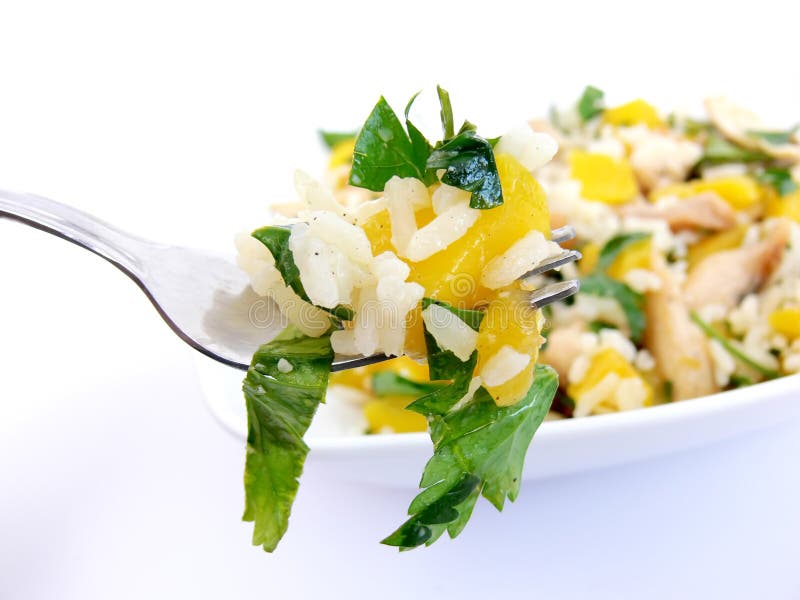 Insalata di pollo e della forcella fotografia stock libera da diritti Insalata di pollo e della forcella fotografia stock libera da diritti