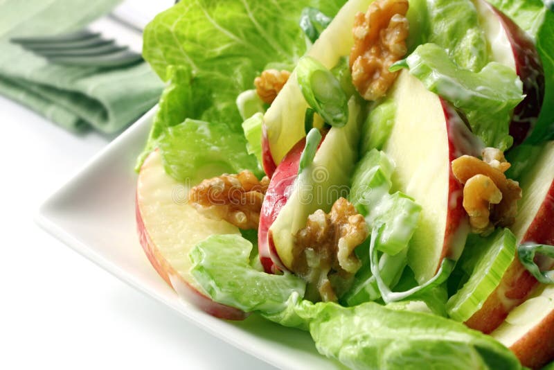 Insalata di Waldorf fotografia stock libera da diritti Insalata di Waldorf fotografia stock libera da diritti