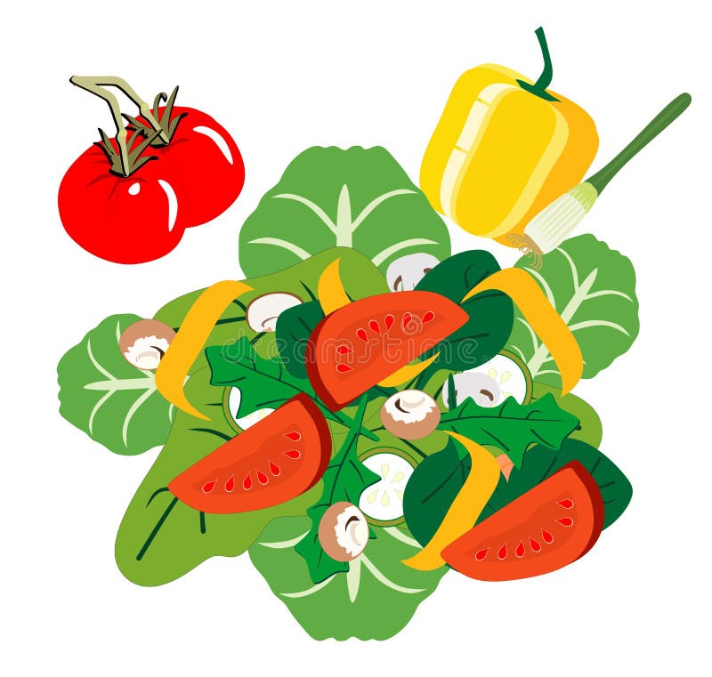 Insalata fresca del giardino illustrazione di stock