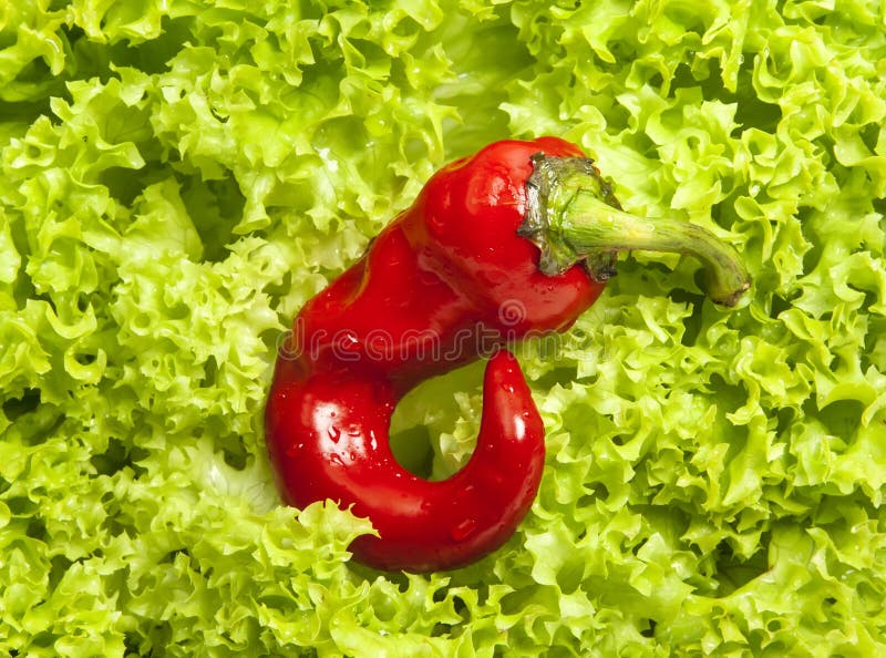 Insalata verde fresca dell'iceberg e pepe rosso fotografie stock Insalata verde fresca dell'iceberg e pepe rosso fotografie stock