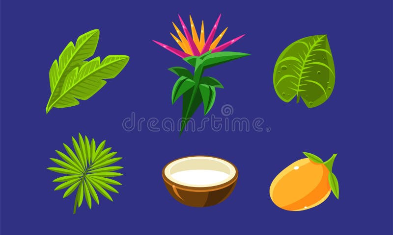 Insamling av glansartade tropiska frukter, blommor och palmblad, exotiska plantor, vektorillustration royaltyfri illustrationer Insamling av glansartade tropiska frukter, blommor och palmblad, exotiska plantor, vektorillustration royaltyfri illustrationer
