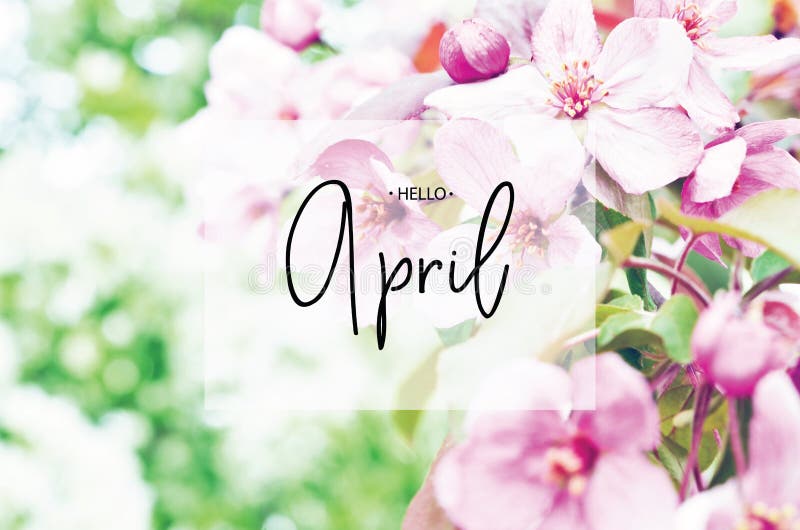 Inscripci?n hola abril Estaci?n floral del tiempo de primavera del fondo natural