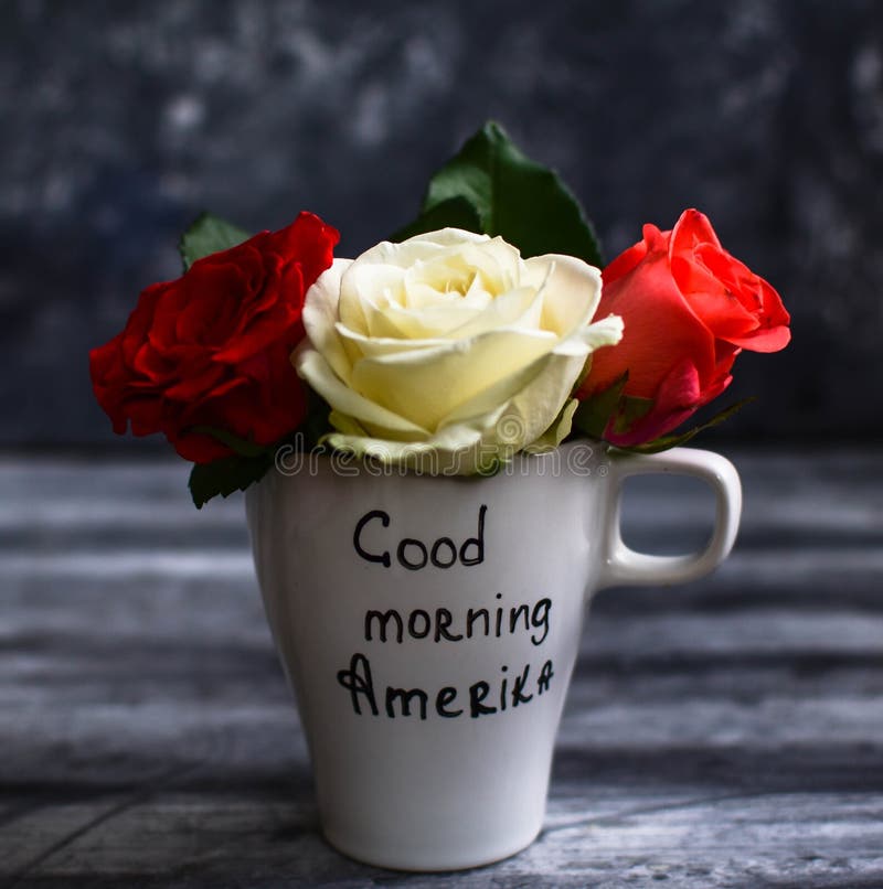 151 Good Morning Romantic Red Rose Images and Pics  Best Status Pics