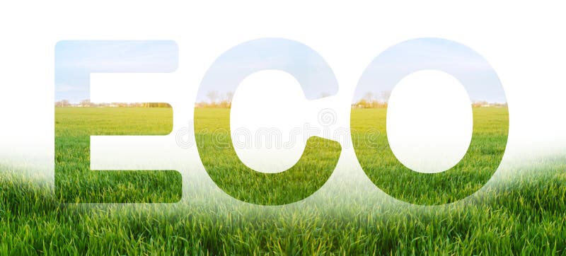 Inscrição de Eco no fundo do campo verde novo da plantação do trigo Colheita a favor do meio ambiente, controle da qualidade