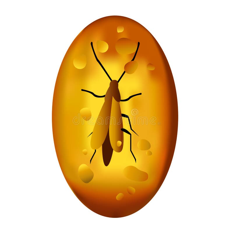 Illustration of an Insect in amber. Vector illustration is avaliable.