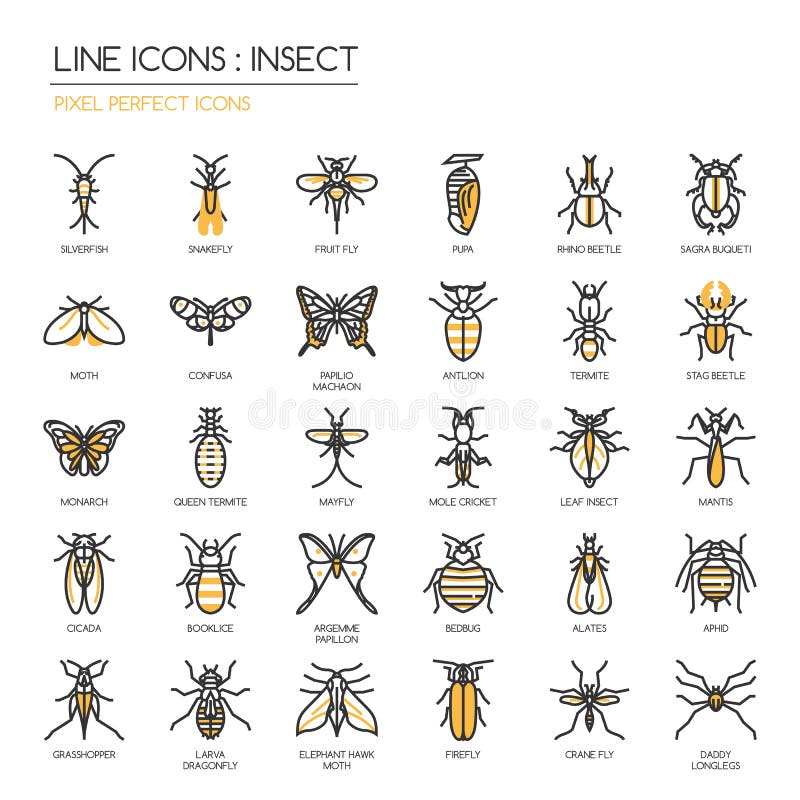 Insectos , delgado línea iconos colocar , perfecto icono.