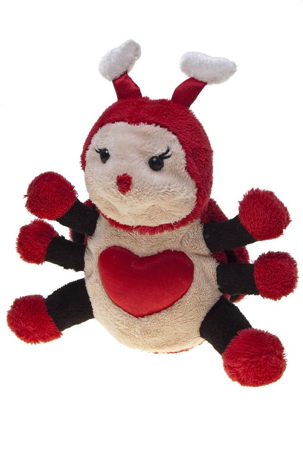 Insect Stuffed Toy, Isolated Stock Image Image of cuddly, isolated