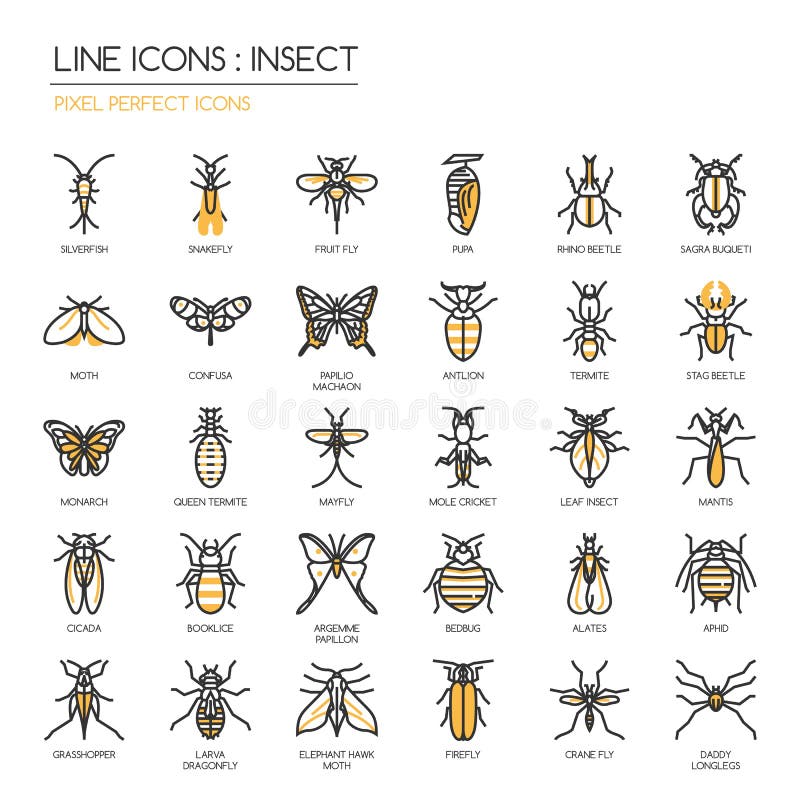 Insecte, icône parfaite de pixel illustration de vecteur Insecte, icône parfaite de pixel illustration de vecteur