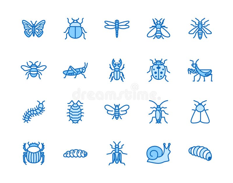 Insecte standaard pictogrammen instellen Vliegtuig, insect, mestkever, sprinkhaan, kakkerlak, sjab, bijen, caterpijlervector stock illustratie Insecte standaard pictogrammen instellen Vliegtuig, insect, mestkever, sprinkhaan, kakkerlak, sjab, bijen, caterpijlervector stock illustratie