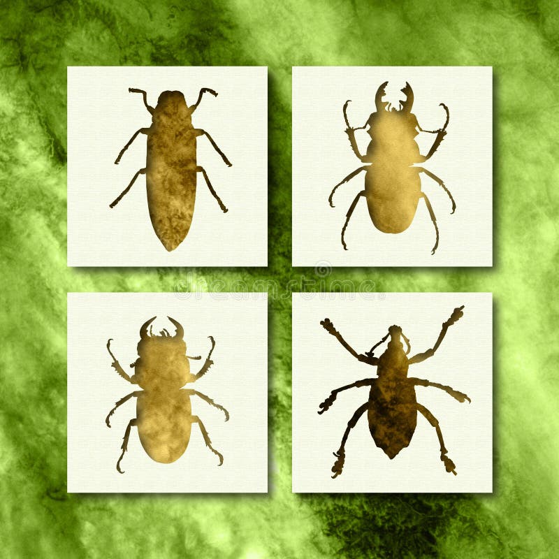 Insecten royalty-vrije stock afbeeldingen Insecten royalty-vrije stock afbeeldingen
