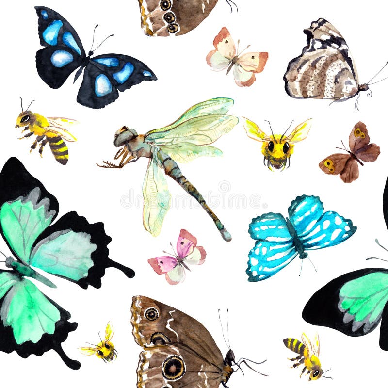 Insects - butterflies, bees and dragonfly. Seamless background with exotic butterfly. Watercolor. Insects - butterflies, bees and dragonfly. Seamless background with exotic butterfly. Watercolor